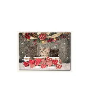 Quadro natalizio luminoso tre gattini in un cesto - Il patio store
