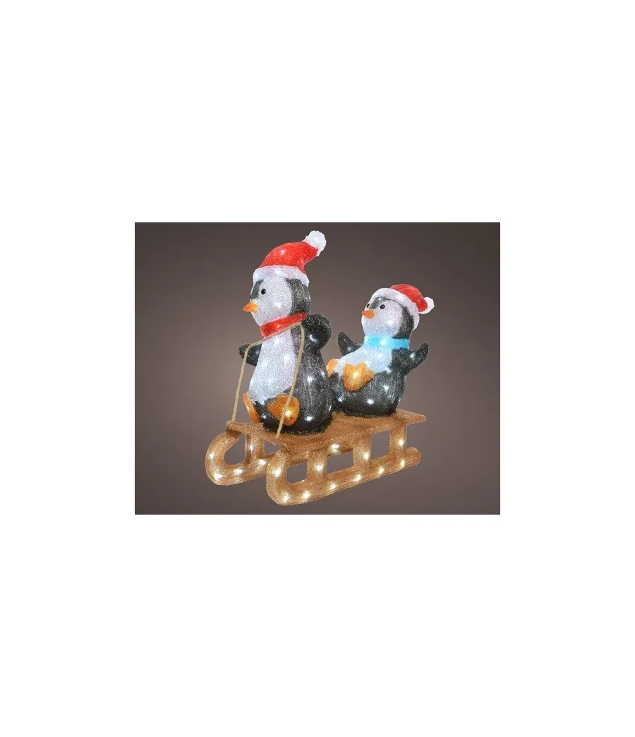 Pinguini su slittino luminosi 110 LED luce bianca - Il Patio store